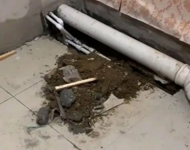 宝清卫生间漏水检测哪家好